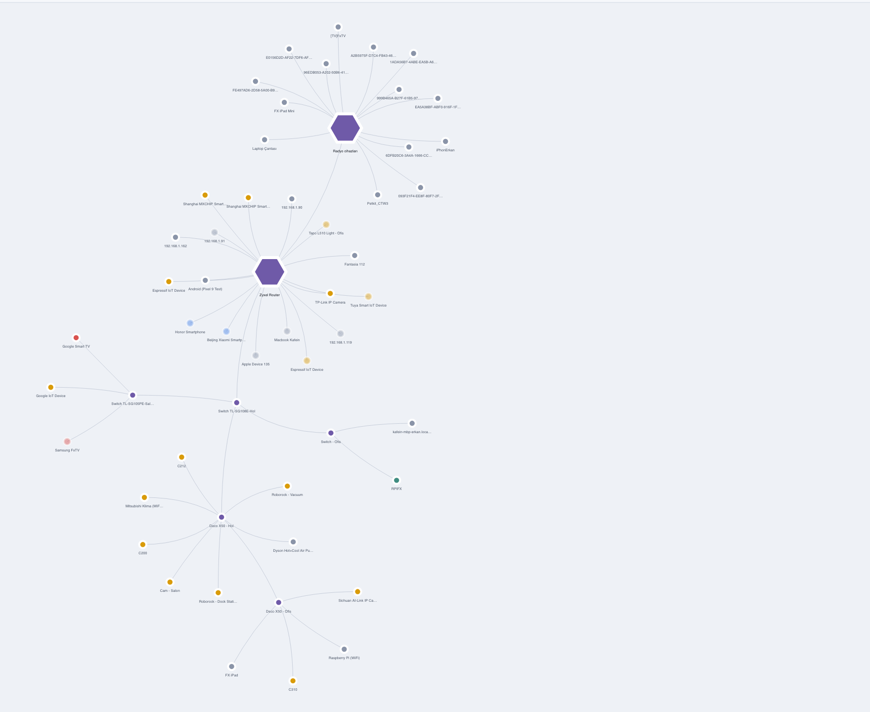 MyNeS interactive graph view: subnet gateways as hubs with every device on its segment, in high resolution